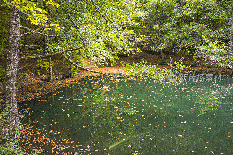 Yedigoller湖国家公园在秋天的mengen bolu土耳其